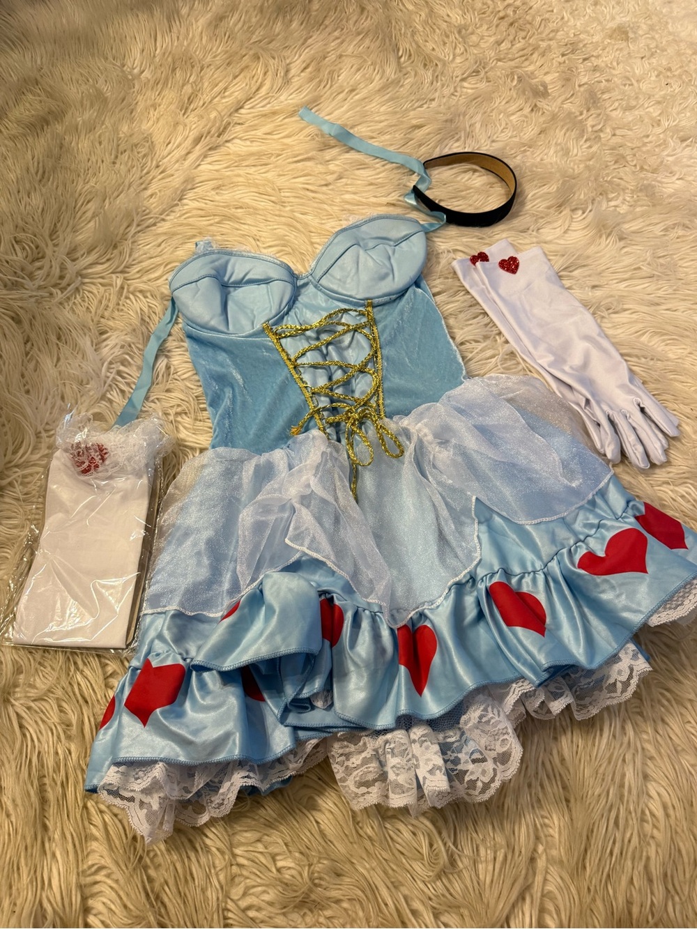 Women’s Alice in wonderland costume (D14)